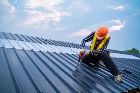 Best Roof Maintenance and Cleaning  in Millville, DE